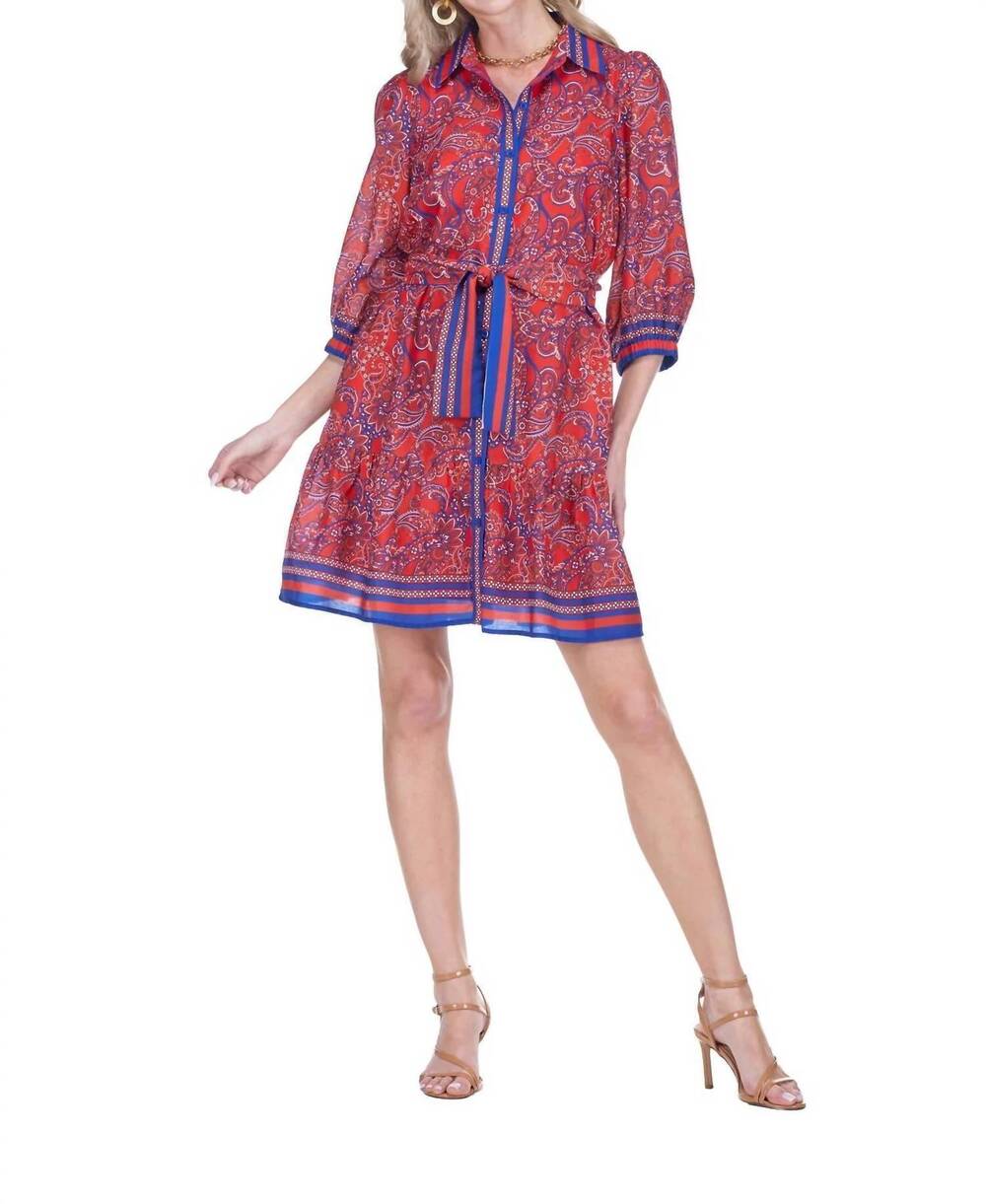 NEW JOY JOY ruffles hem shirtdress in liberty paisley